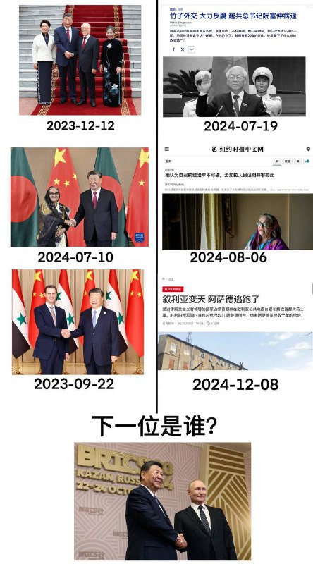 巳界主