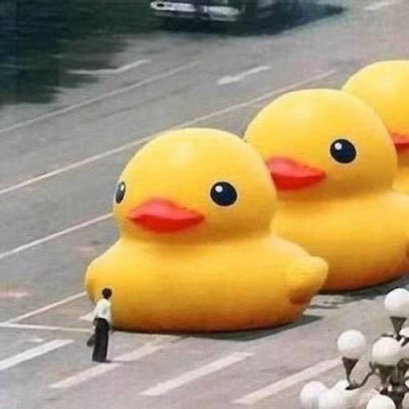 👤 来自