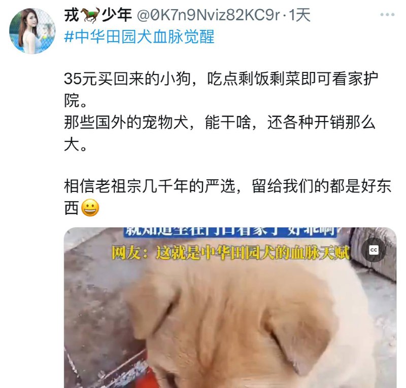 你这五毛说的是中华田园犬还是中华哈基人？你这五毛说的是中华田园犬还是中华哈基人？