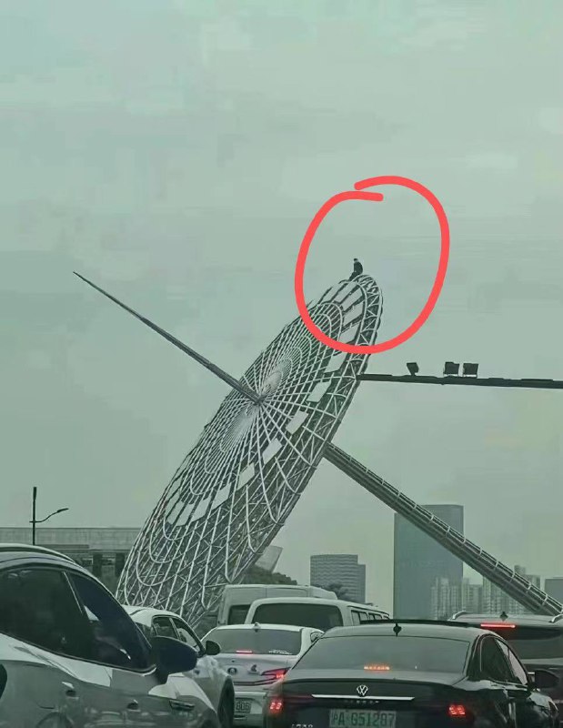上海杨高路世纪大道By