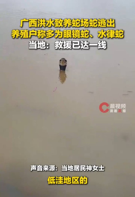 蛇：没事咱水性好不用