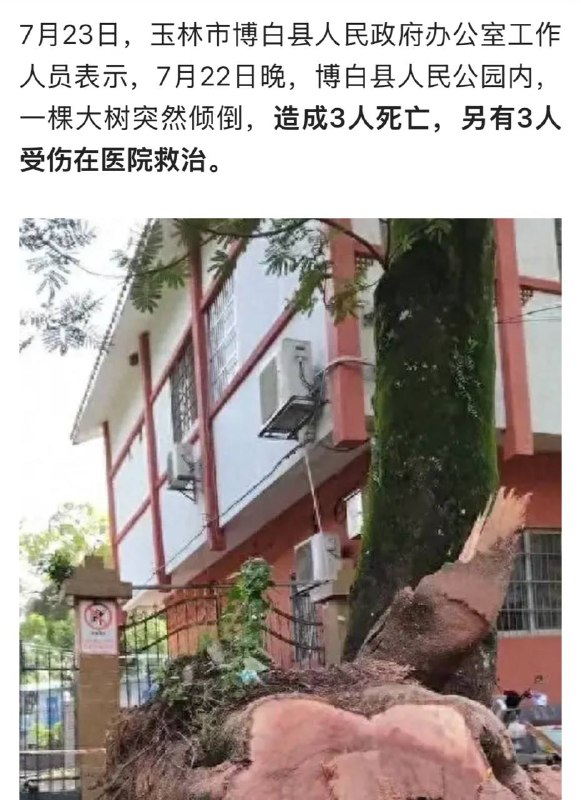 这年头有八杀男刀，三十五杀赛恩，前几天有两个三杀火男，现在没想到大树也能三杀