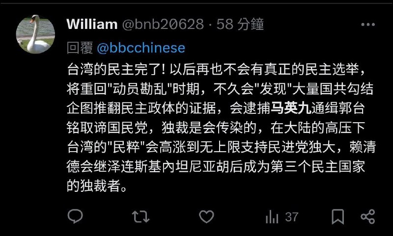 🇨🇳🐷