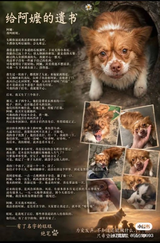 給阿嬤的遺書