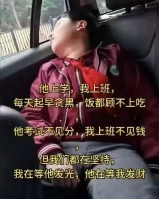 后来他失联死在后山，你心脏猝死在加班，彼此等到的，只有做了老干部的器官