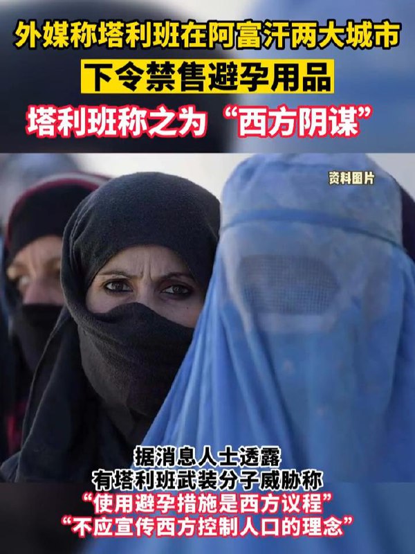 塔利班
