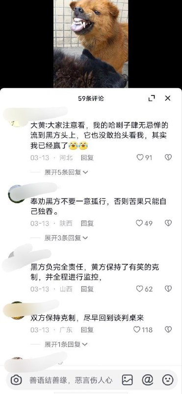 大家都在搜