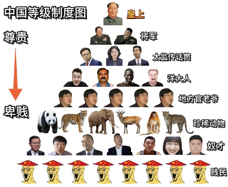 你在哪儿😎 匿名投