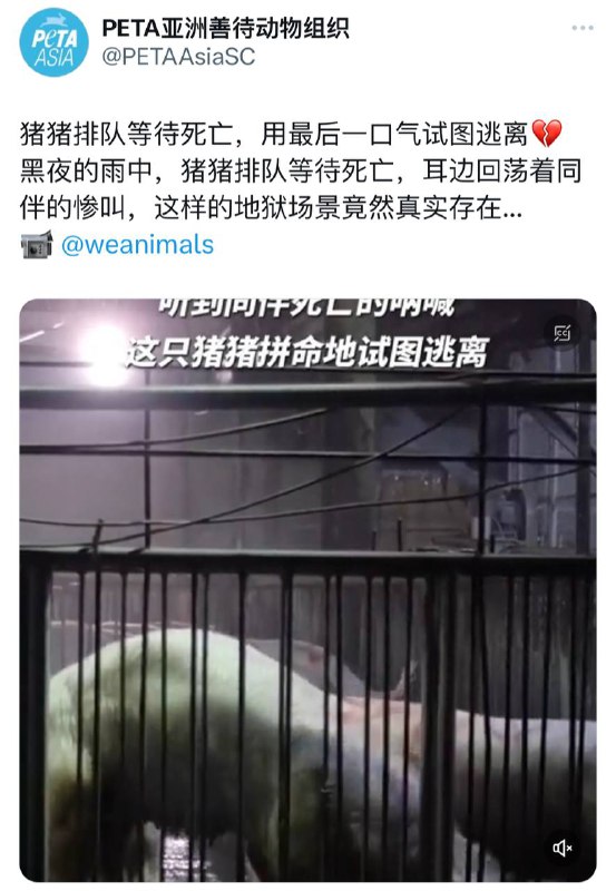 你不说我还以为你在拍北京暴雨呢😅投稿By