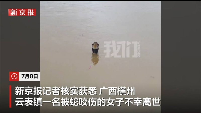 喉舌里但凡还有点良心的比如新京报，就整天被粉蛆说“立场歪了”