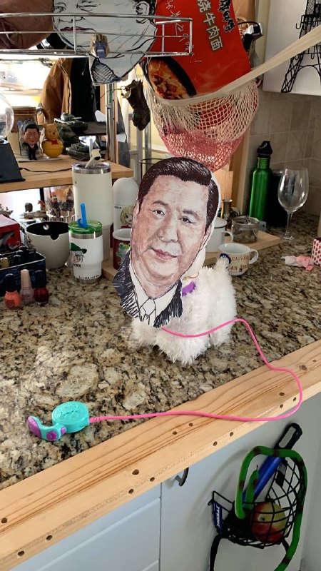 做了个遥控狗狗