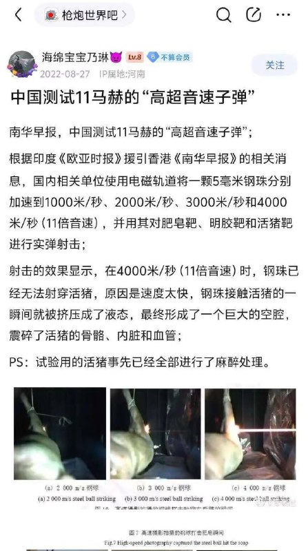 不知道中国人享受到这种达姆弹的代替品没有？