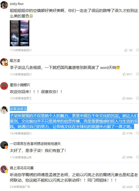 虚假的李子柒，真实的农民工#恶意合订虚假的李子柒，真实的农民工#恶意合订