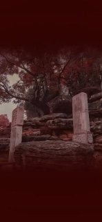 六月份 北京一旅游团