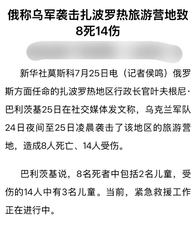 特别军事行动打得自己