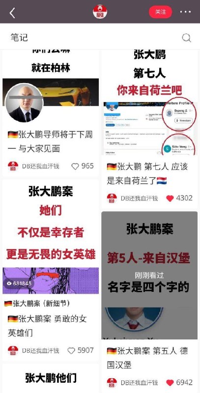 关于德国中国留学生连环迷奸案的一些信息