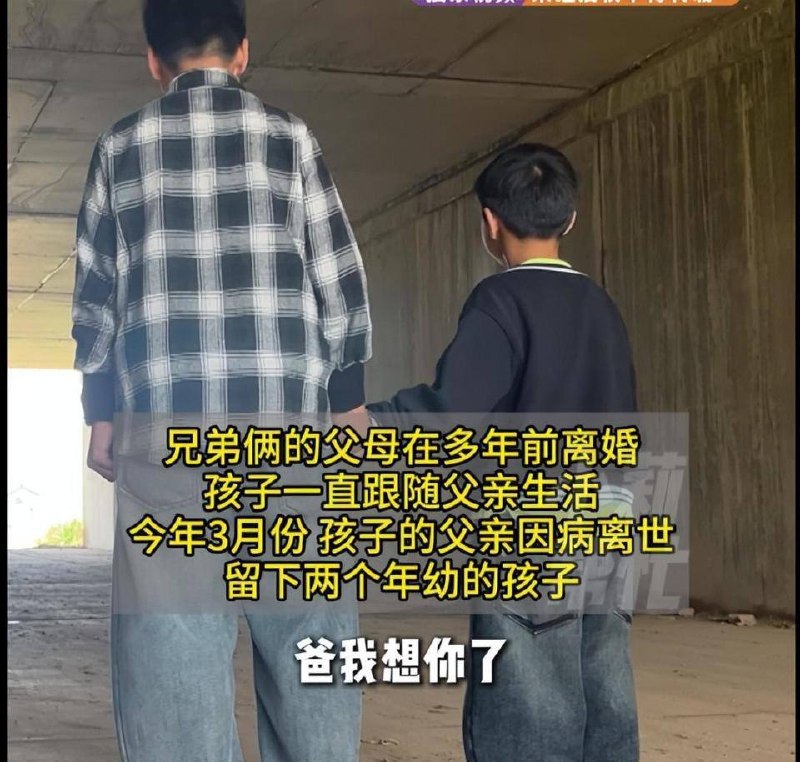 短生种，斩杀！短生种，斩杀！