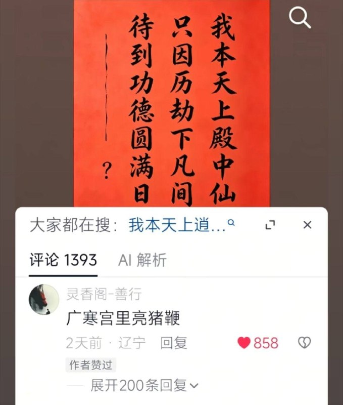 新皮肤