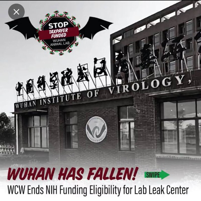 偷张动物保护组织的宣传图，虽然我未必赞成你们的观点，但我誓死捍卫你们辱华的权利