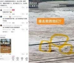 原来是 只猪啊我还以