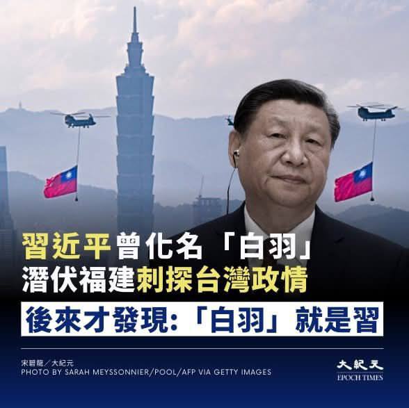 新皮肤