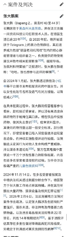 关于德国中国留学生连环迷奸案的一些信息