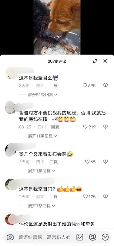 大家都在搜