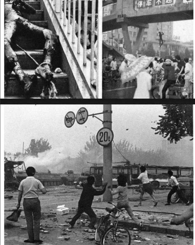 图一