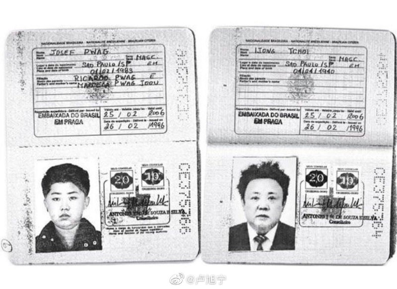 1990年代，父亲为了带年幼的恩恩去东京迪士尼玩，用两本巴西护照进入了日本