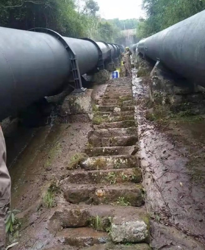 激流葬激流葬