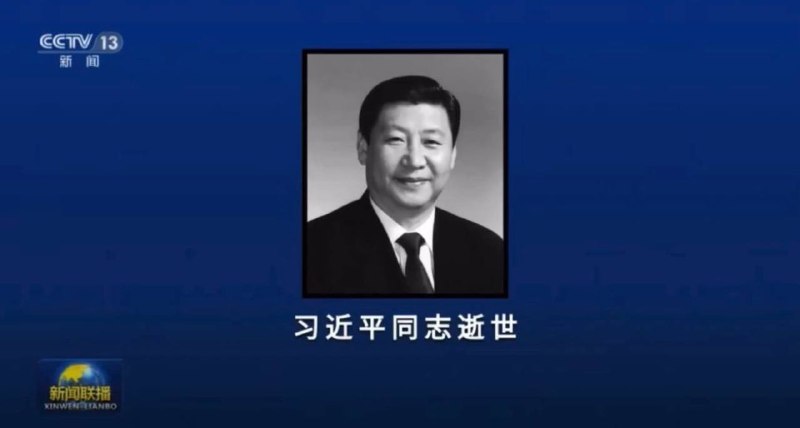 本台预告