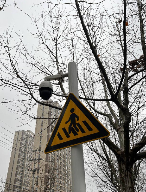 习近平倡导的平安中国，实质上是监控中国老百姓的大监狱，短短不到一公里的街道，遍布了摄像头监控和高压电网，监控民众无所不用其极
