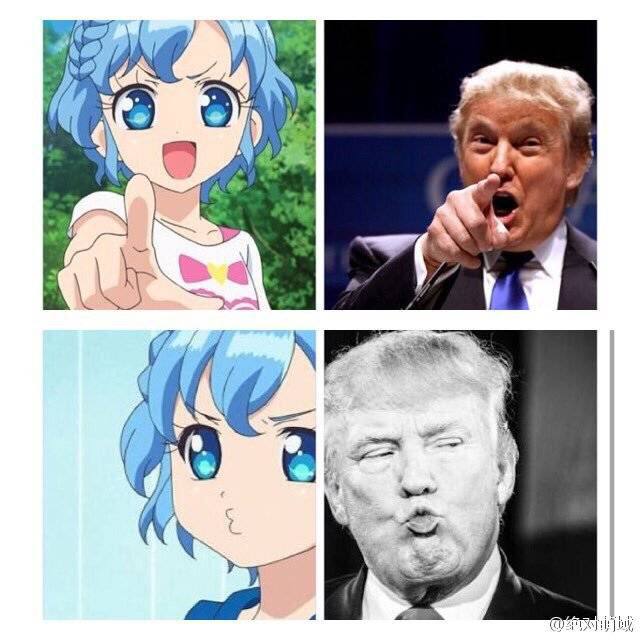 今天的川宝也要继续可爱呢（*ﾟ∀ﾟ）つ投稿By
