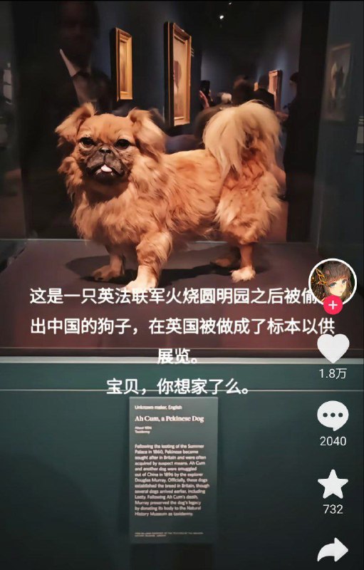 想要吗