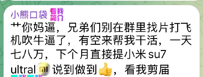 傻逼诈骗犯骂人就算了，还提小米su7，罐烧两脚羊闹麻了