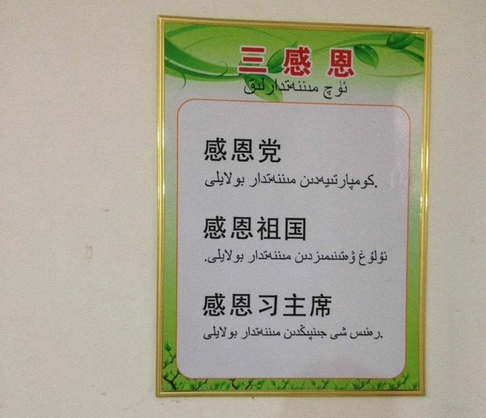 早该感恩了早该感恩了