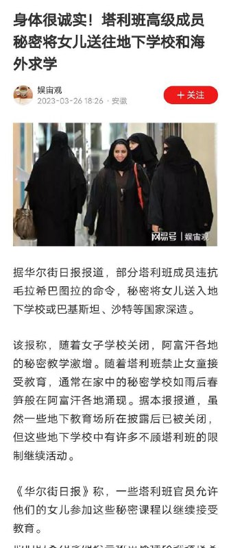 新皮肤