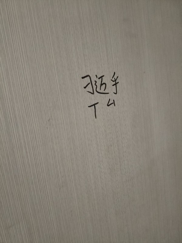 墙国🇨🇳某厕所#厕所革命#大涂鸦运动😎 匿名投稿