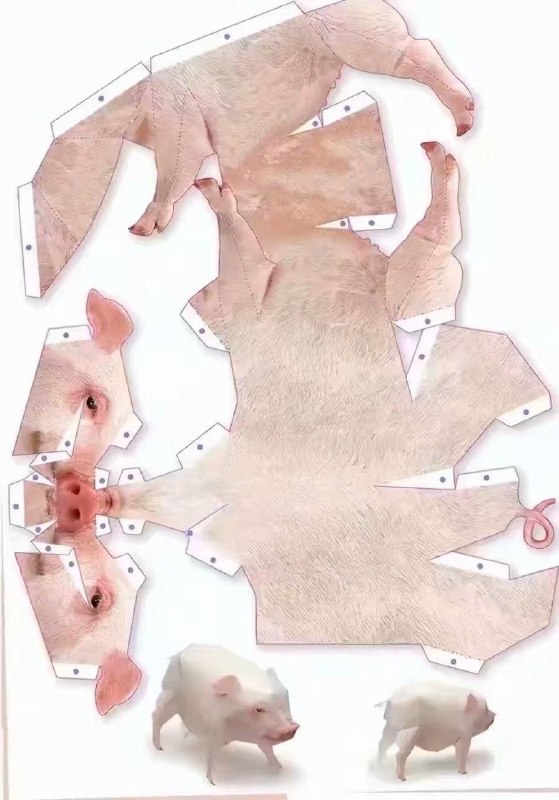 纸膜蓝图，有需要的自取👤 来自