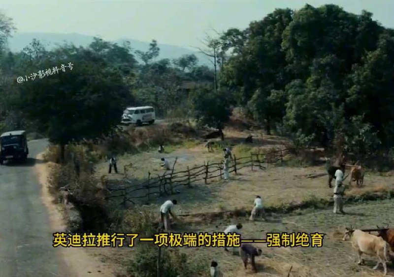 五毛做这种片子的时候