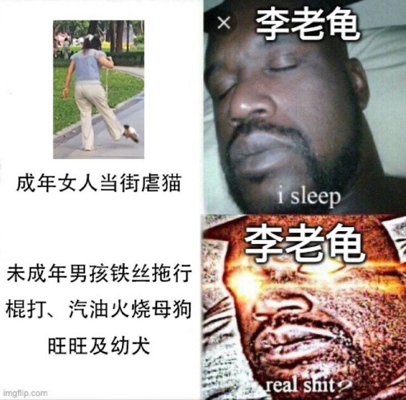 这个视频最可悲的，还不是这个女的如此对待自己的“宠物”