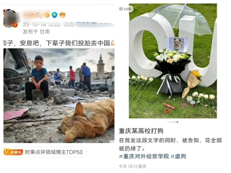 还去赵国吗?By
