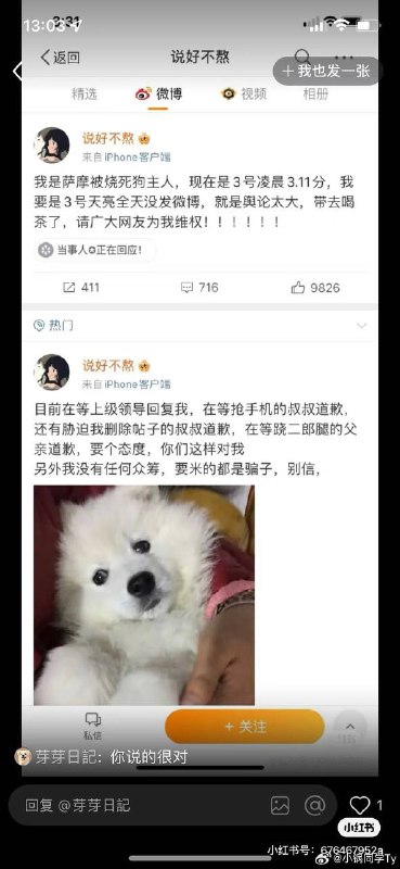 投稿