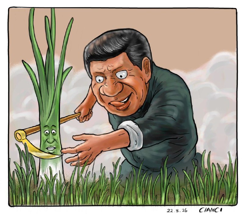 《好大一顆!》😎