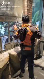 笼里的出来搞核酸～～
