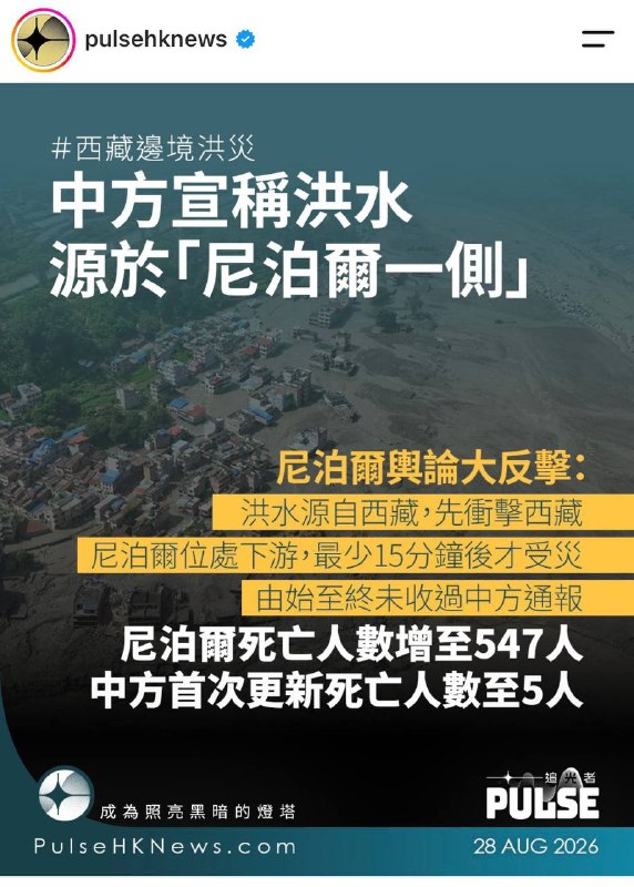 维尼表示