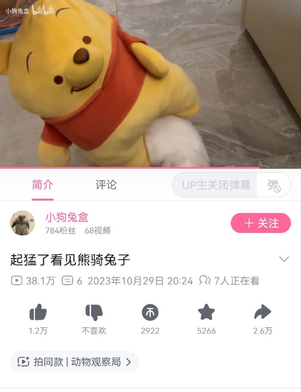 遇到🐻，就开始近平了什么此地无银三百两遇到🐻，就开始近平了什么此地无银三百两
