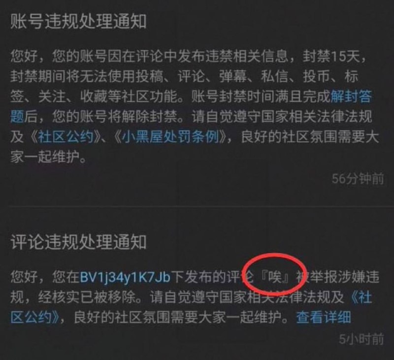诶👤 来自