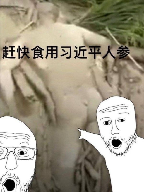 中国出土巨型人参馋哭