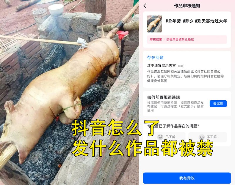 过年，杀猪视频被禁😎 匿名投稿
